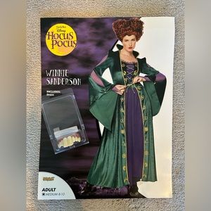 Hocus Pocus Winnifred Sanderson witch costume